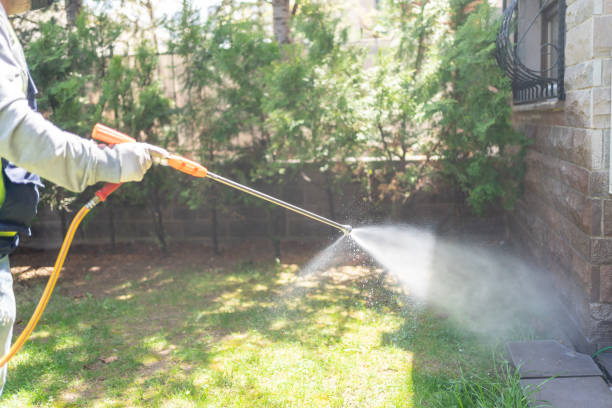 Best Pest Prevention Services  in Center Line, MI