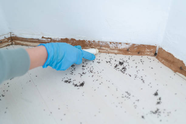 Best Pest Inspection Near Me  in Center Line, MI