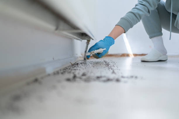 Best Mosquito Control Services  in Center Line, MI